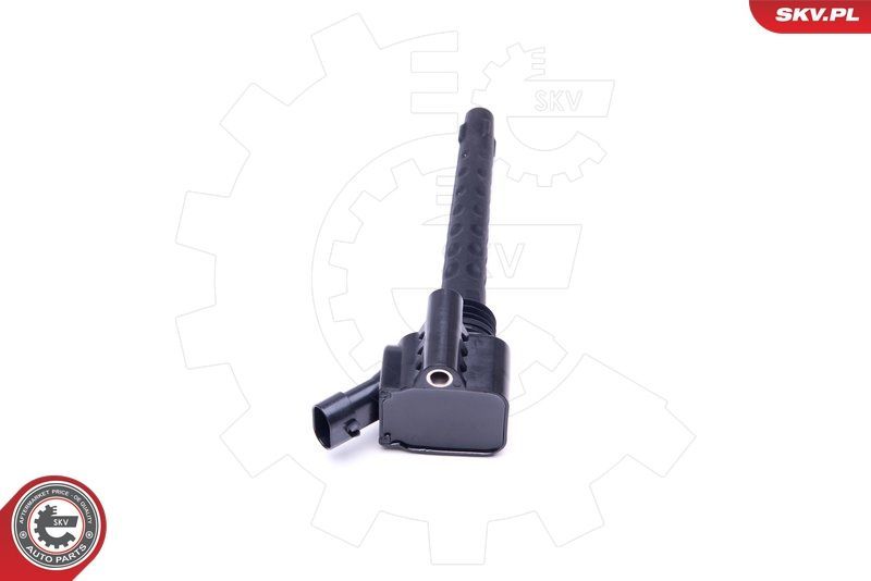 Ritė, uždegimas ESEN SKV 03SKV283