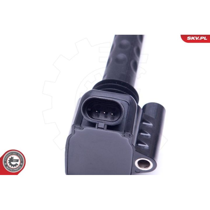 Ritė, uždegimas ESEN SKV 03SKV283