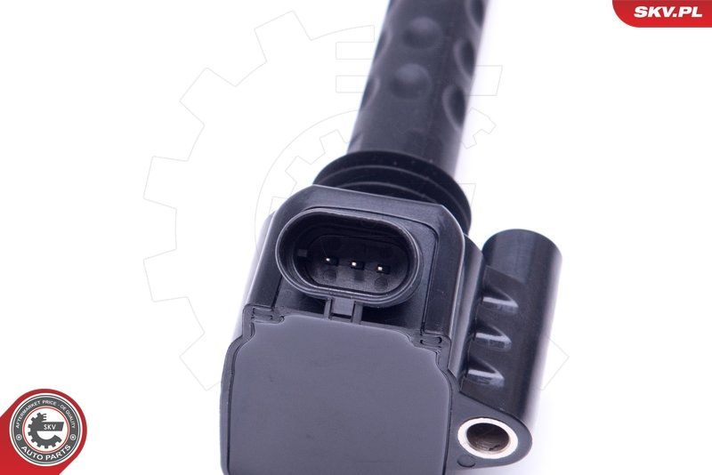 Ritė, uždegimas ESEN SKV 03SKV283