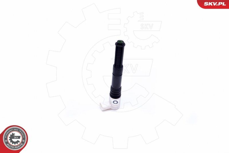 Ritė, uždegimas ESEN SKV 03SKV286