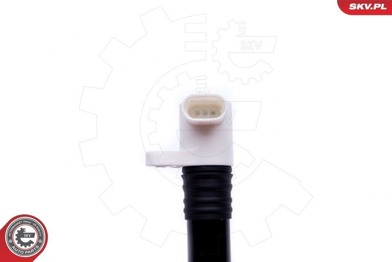 Ritė, uždegimas ESEN SKV 03SKV286