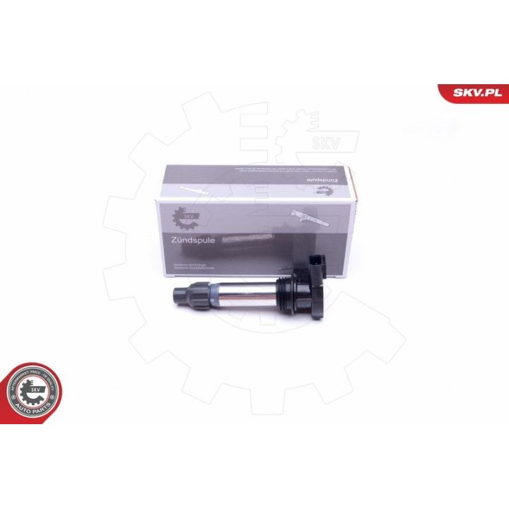 Ritė, uždegimas ESEN SKV 03SKV294