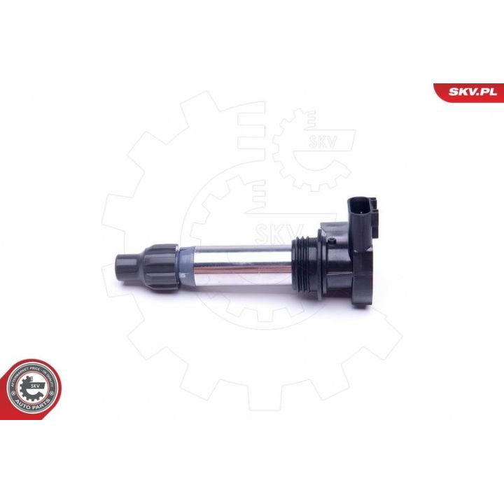 Ritė, uždegimas ESEN SKV 03SKV294