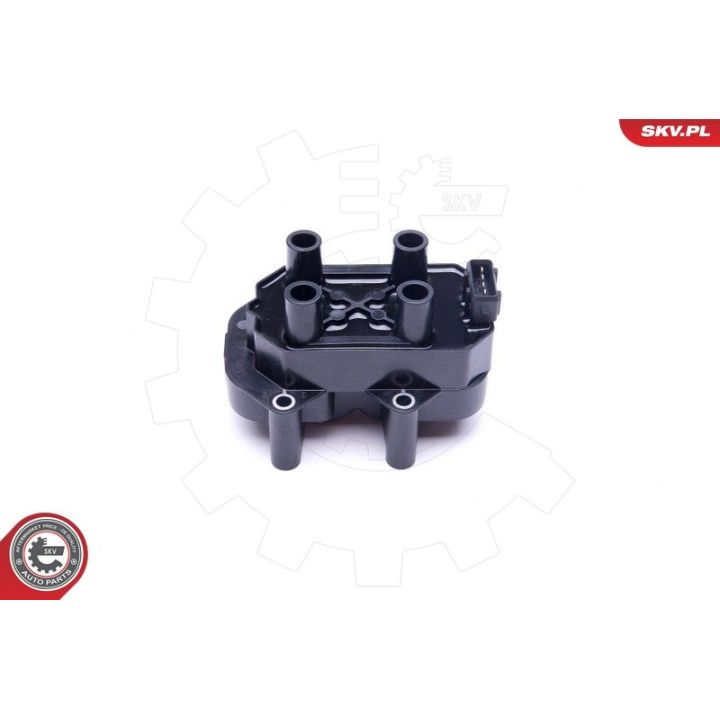 Ritė, uždegimas ESEN SKV 03SKV299