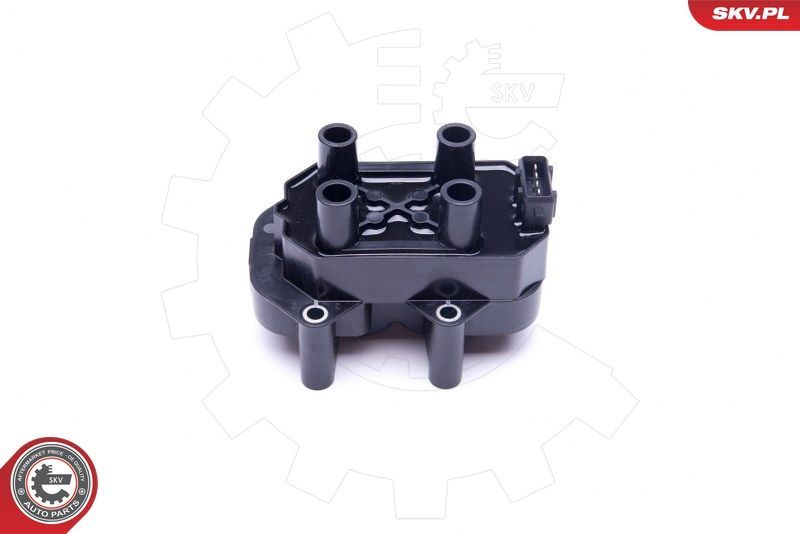 Ritė, uždegimas ESEN SKV 03SKV299