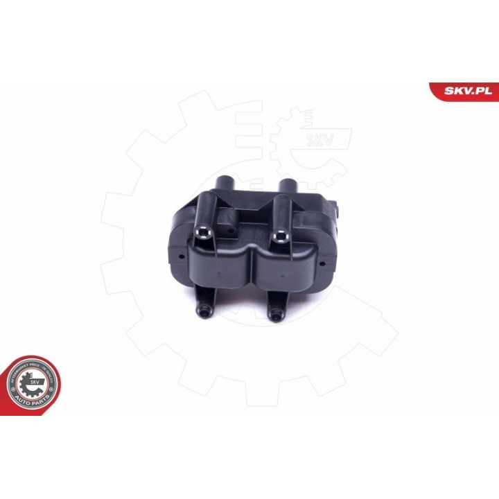 Ritė, uždegimas ESEN SKV 03SKV299