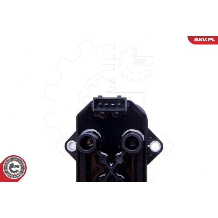 Ritė, uždegimas ESEN SKV 03SKV299