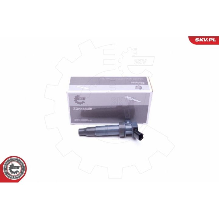 Ritė, uždegimas ESEN SKV 03SKV312