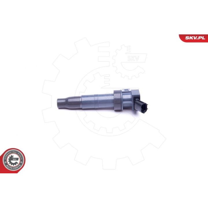 Ritė, uždegimas ESEN SKV 03SKV312