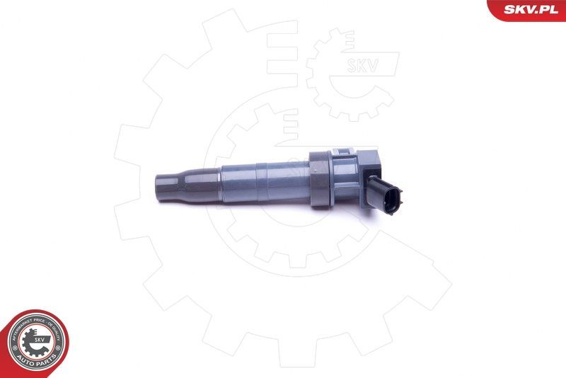 Ritė, uždegimas ESEN SKV 03SKV312