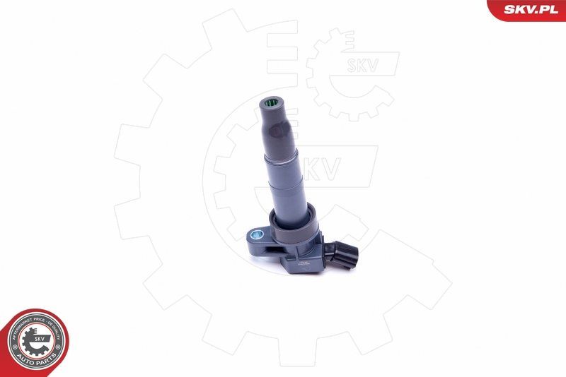 Ritė, uždegimas ESEN SKV 03SKV312