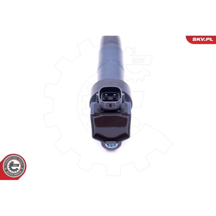 Ritė, uždegimas ESEN SKV 03SKV312