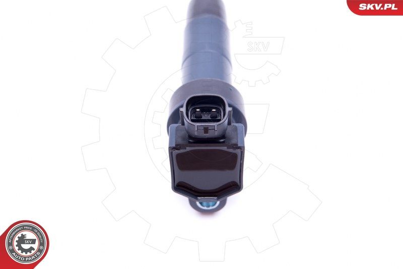 Ritė, uždegimas ESEN SKV 03SKV312