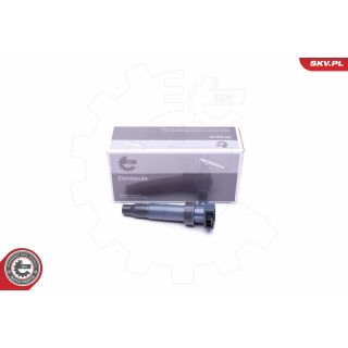 Ritė, uždegimas ESEN SKV 03SKV313