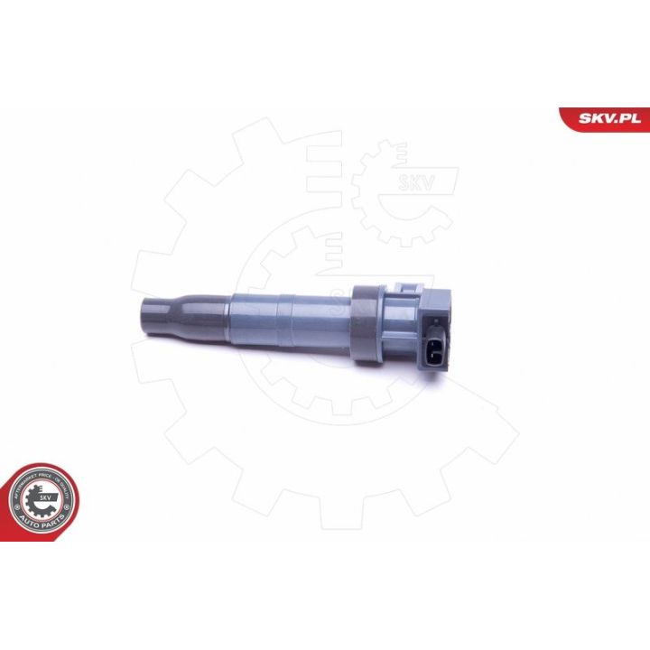 Ritė, uždegimas ESEN SKV 03SKV313