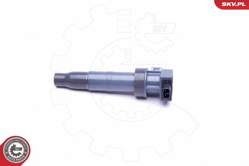 Ritė, uždegimas ESEN SKV 03SKV313