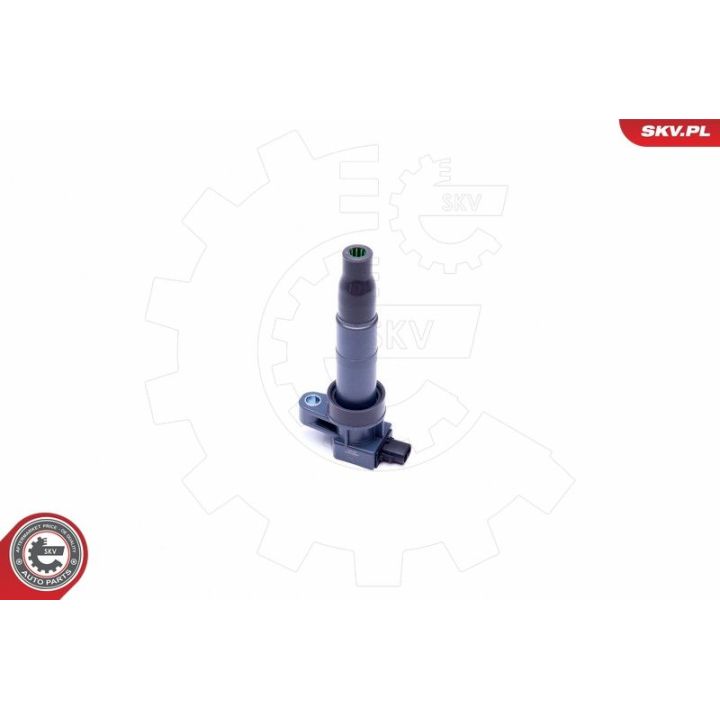 Ritė, uždegimas ESEN SKV 03SKV313