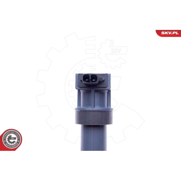 Ritė, uždegimas ESEN SKV 03SKV313