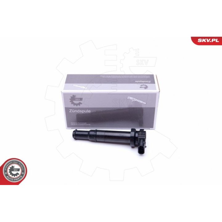 Ritė, uždegimas ESEN SKV 03SKV314