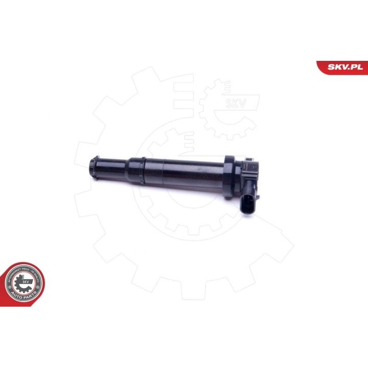 Ritė, uždegimas ESEN SKV 03SKV314