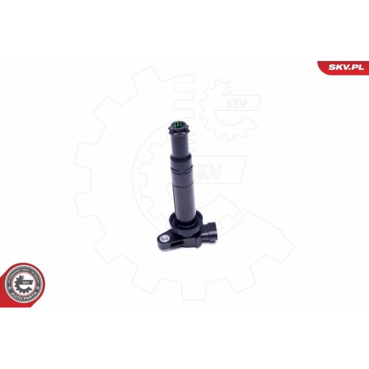 Ritė, uždegimas ESEN SKV 03SKV314