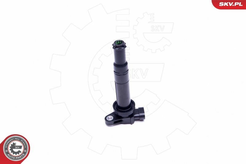 Ritė, uždegimas ESEN SKV 03SKV314