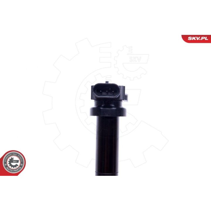 Ritė, uždegimas ESEN SKV 03SKV314