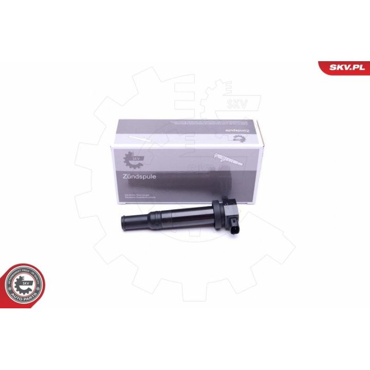 Ritė, uždegimas ESEN SKV 03SKV315