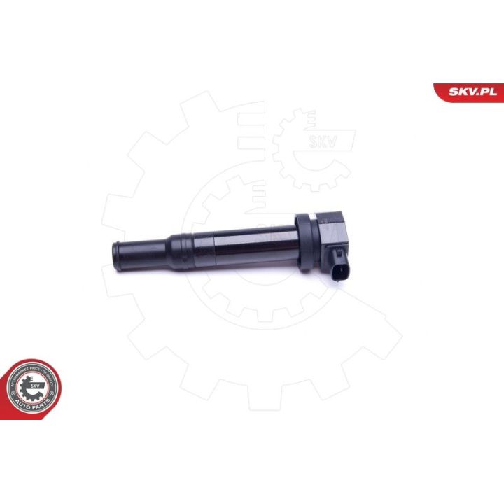 Ritė, uždegimas ESEN SKV 03SKV315