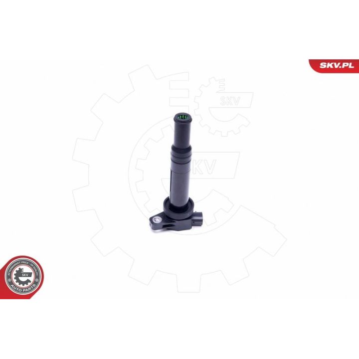 Ritė, uždegimas ESEN SKV 03SKV315