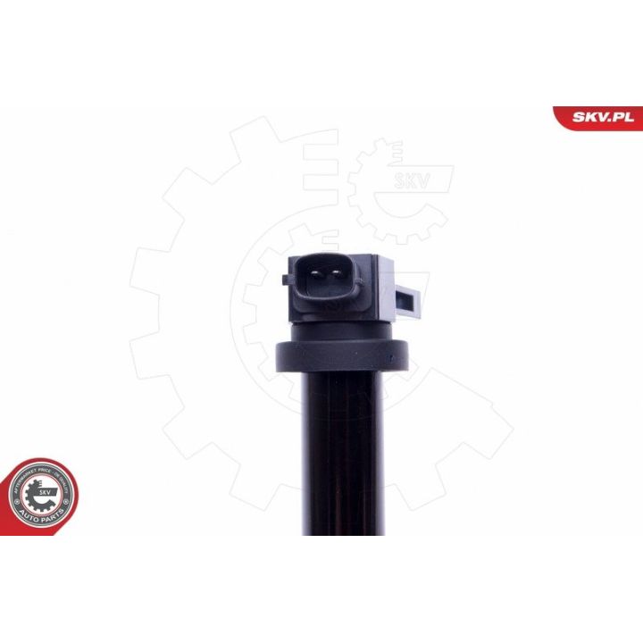 Ritė, uždegimas ESEN SKV 03SKV315