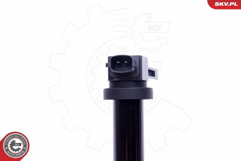 Ritė, uždegimas ESEN SKV 03SKV315