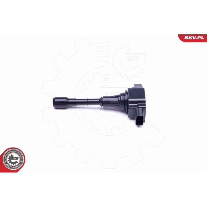 Ritė, uždegimas ESEN SKV 03SKV316