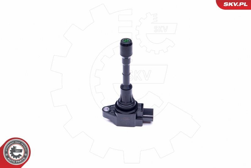 Ritė, uždegimas ESEN SKV 03SKV317