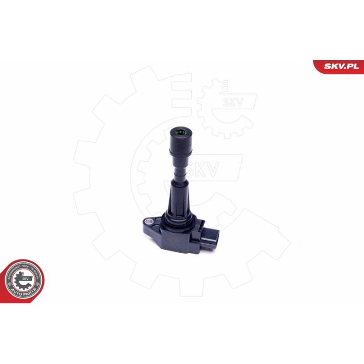 Ritė, uždegimas ESEN SKV 03SKV323