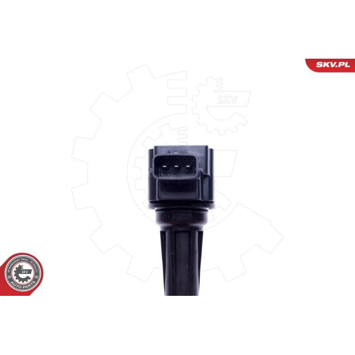 Ritė, uždegimas ESEN SKV 03SKV323