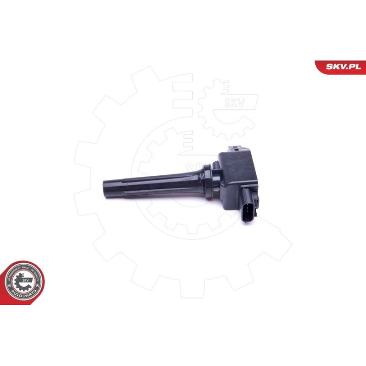 Ritė, uždegimas ESEN SKV 03SKV324