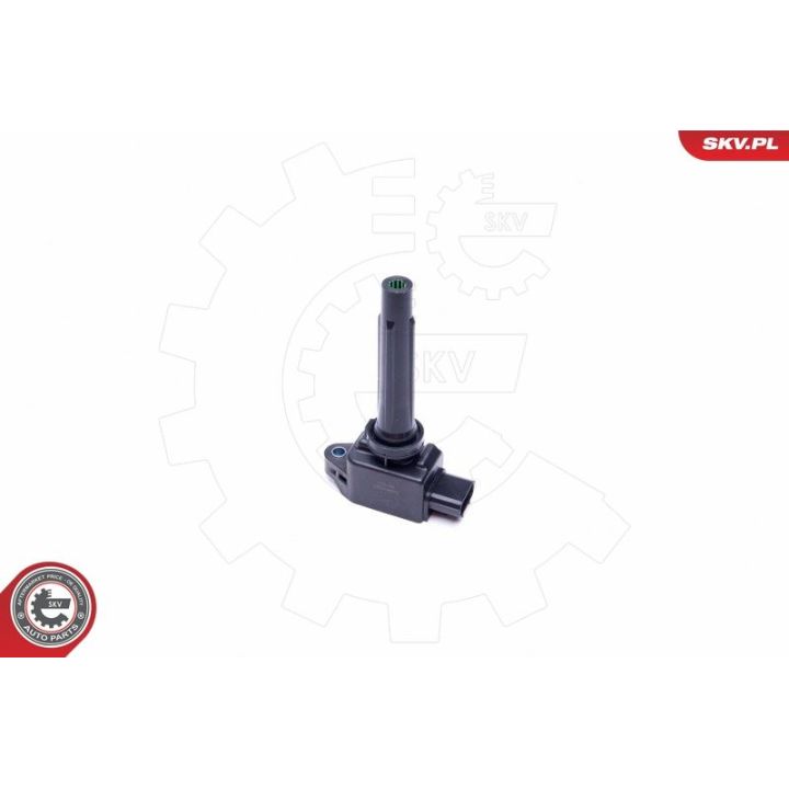 Ritė, uždegimas ESEN SKV 03SKV324