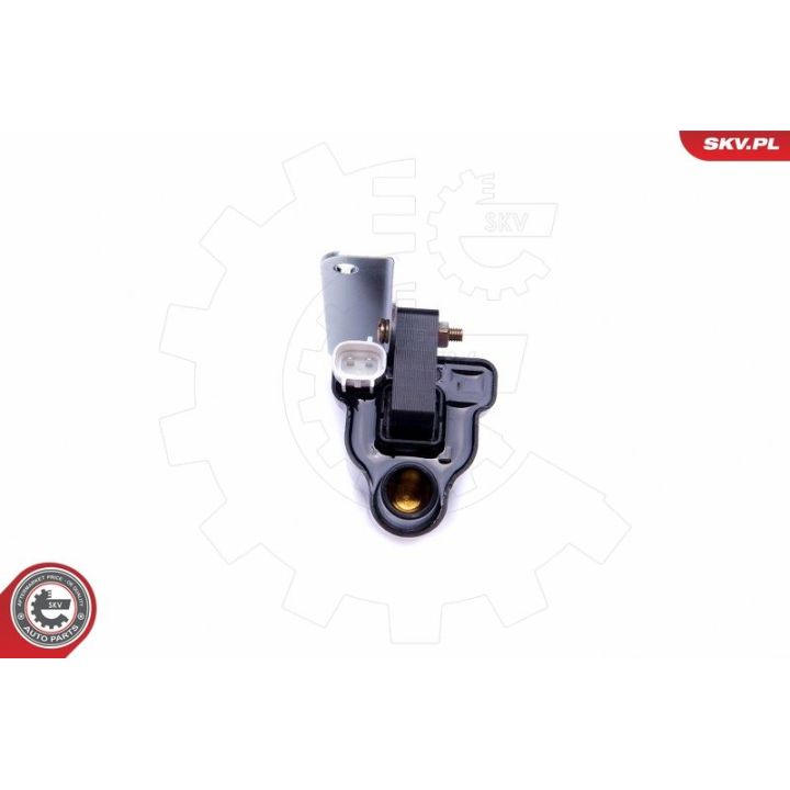 Ritė, uždegimas ESEN SKV 03SKV325