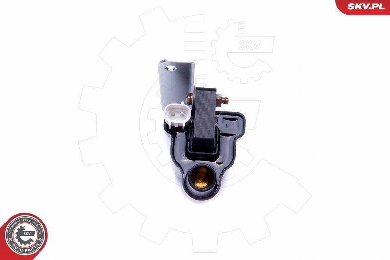 Ritė, uždegimas ESEN SKV 03SKV325