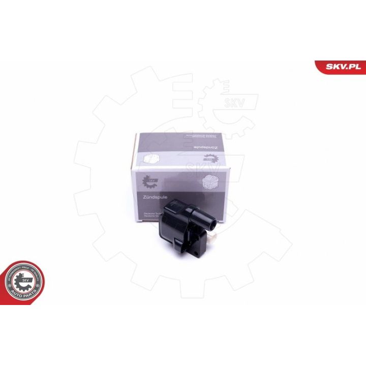 Ritė, uždegimas ESEN SKV 03SKV326