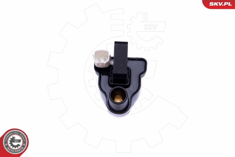 Ritė, uždegimas ESEN SKV 03SKV326