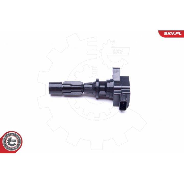 Ritė, uždegimas ESEN SKV 03SKV327