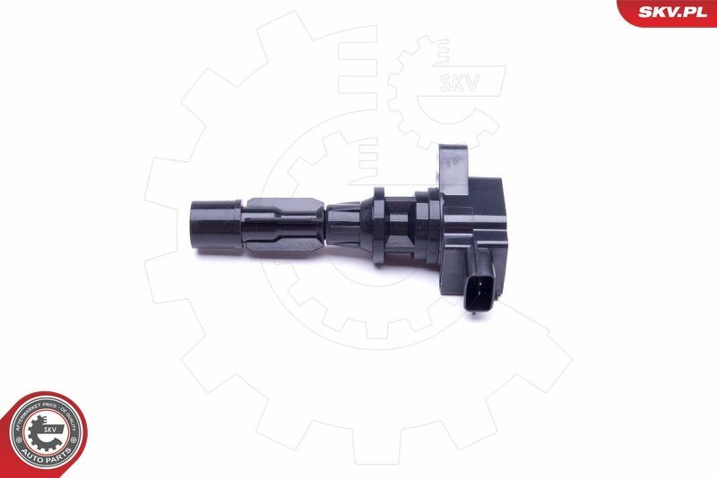 Ritė, uždegimas ESEN SKV 03SKV327