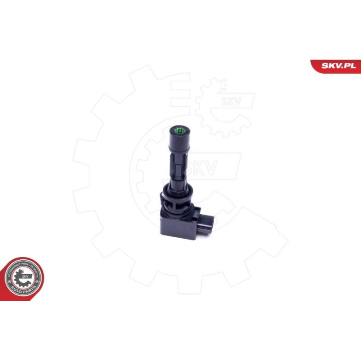 Ritė, uždegimas ESEN SKV 03SKV327