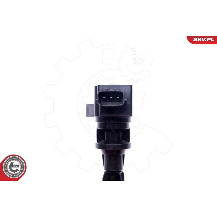 Ritė, uždegimas ESEN SKV 03SKV327