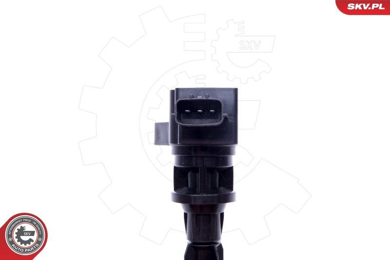 Ritė, uždegimas ESEN SKV 03SKV327