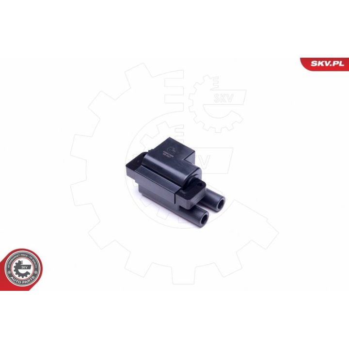 Ritė, uždegimas ESEN SKV 03SKV328