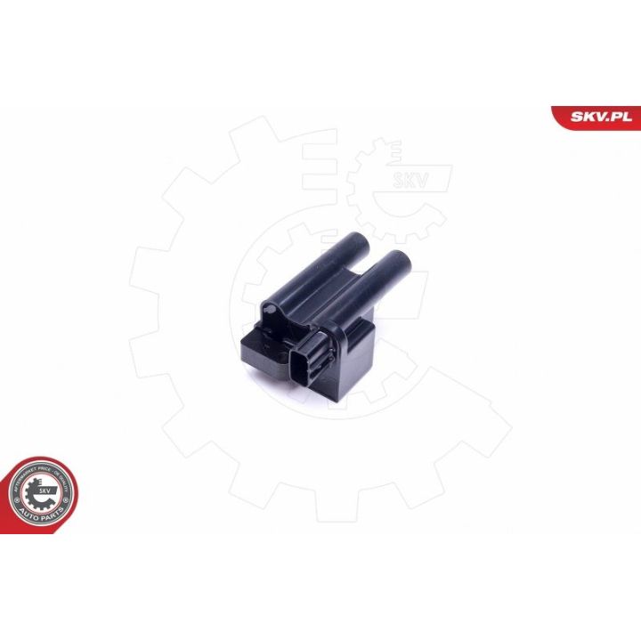 Ritė, uždegimas ESEN SKV 03SKV328