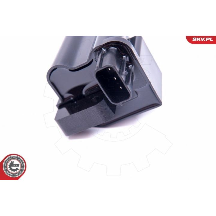 Ritė, uždegimas ESEN SKV 03SKV328